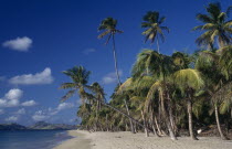 Palm fringed empty sandy beach.