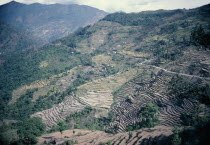 Landscape with soil erosion caused by deforestation