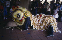 Chinese New Year Dragon Dance with tourists watching the Dragon examining the food offering to it
