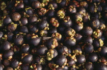 Mangosteen fruits at The Night Market in Kuah