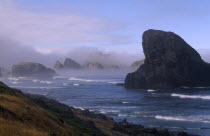 Misty Coastline with rocky outcrops.