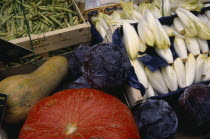 Vegetable display of chicory  green beans  squash  red cabbqge and pumpkin.