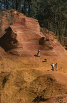 People walking through the yellow  brown landscape.