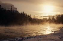 Sunrise over misty Bow River and tree lined bank