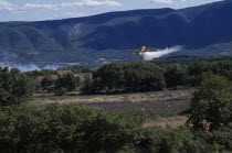 Firefighter Plane flying towards smoke from a forest fire rising above green landscape.