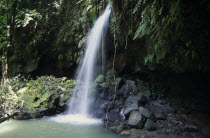 Waterfall and plunge pool in thick tropical rainforest.