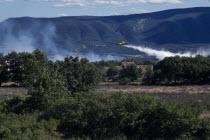 Firefighter Plane flying towards smoke from a forest fire rising above green landscape.