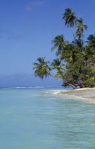 View along shore and beach with palm trees stretching out over the sea