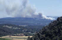 Mass of smoke from a forest fire rising above green landscape in the distance.
