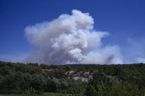 Smoke from a forest fire rising from green landscape.