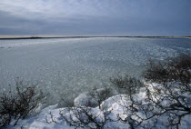 Frozen lake on the Canadian Tundra. Ice balls are formed as the water slowly freezes.