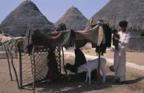 Family with white calf in shelter made from quilts spread over wooden frame and charpoy on its side with thatched buildings behind in desert village of Tunda Wali-Wadh.