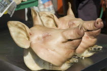Pigs head on sale at Jagalchi MarketAsia  South Korea  market  pigs head  pork