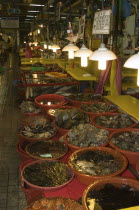 Shellfish in Shin Dong-A Building  Jagalchi MarketAsia  South Korea  fish  market  seafood