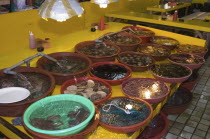 Shellfish in Shin Dong-A Building  Jagalchi MarketAsia  South Korea  fish  market  seafood