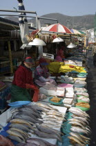 Seafood vendor at Jagalchi Market  the largest fish market in KoreaAsia  South Korea  fish  market  seafood