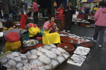 Seafood vendor at Jagalchi Market  the largest fish market in KoreaAsia  South Korea  fish  market  seafood