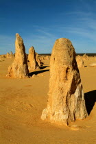 The Pinnacles rock formations.Outback Antipodean Aussie Australian Oceania Oz