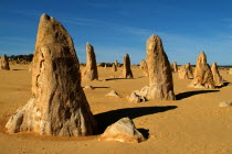 The Pinnacles rock formations.Outback Antipodean Aussie Australian Oceania Oz