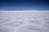 Flat expanse of salt lake patterned with hexagonal shapes.