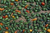 Chilli peppers laid out to dry in the sun.