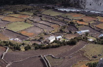 Crops and lifestock in patchwork of terraced fields and Sherpa houses.Everest region