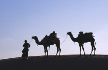 Camel herder with loaded camels silhouetted against pale sky on ridge of sand dune near Jaisalmer.