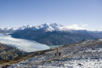 Trekers walking in OHiggins region of Patagonia  with OHiggins Glacier in the background. Trek from Glacier Chico  Chile  to El Chalten  Argentina