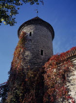 City wall and circular tower with red creeper growing over walls and roof.