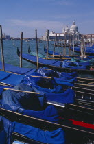 Line of gondolas moored at Piazza San Marco jetty with Santa Maria della Salute in distance behind.