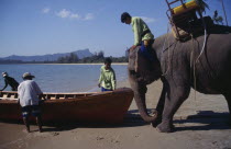 Elephant launching newly built longtail boat.