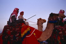 Bedouin cultural show at camel racing event in the desert.  Cropped shot of man and young boy riding camels with brightly coloured saddle cloth and harness. Colored