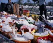 Dhow Harbour adjacent to the Sharq Souq with fresh fish on ice in coloured baskets in the foreground.Colored