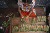 Looking down on female worker in cheroot factory workplace.Burma Pegu Bago Myanmar