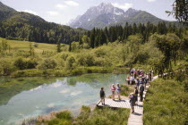 Group of hikers at Zelenci Lake the source of the River Sava with the Julian Alps peaks Visoka Ponca  Jalovec and Planica in the background  Male and female walkers Jelenicisightseeingclean waterb...