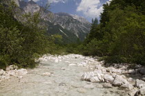 Looking along the Vrata Valley the longest valley in Slovenia - The River Bristica springs from the gravel at the foot of the mountain  clean waternaturalonly National Park in Sloveniaconifers.li...