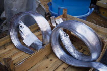 La Pescheria di Sant Agata. Fish Market with two Silver fish rolled up in a tray with euro money price signs.Catania Fish Market