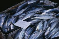 La Pescheria di Sant Agata. Fish market with detail of  fresh Mackerel and a euro money price sign