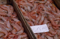 La Pescheria di Sant Agata. Fish market with detail of fresh Shrimp in trays on stall with a euro money price sign