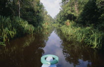 Jungle and river seen from the bow of a small boat