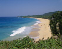 View of sandy beach backed with palm trees and clear sea with blue sky and rocky coastline in distance.