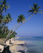 View of beach with leaning palm trees  swimmers  pleasure boat in distance with blue sky