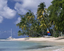 Gibbs beach deserted  hobie cat under palms  catamaran  green sea