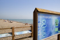 Sunbathers on shingle beach with a sign displaying local information on marine life Great Britain United Kingdom UK
