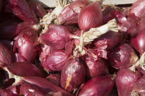 French Market. Detail of red onions on market stallGreat Britain United Kingdom UK