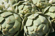 French Market. Detail of artichokes on market stallGreat Britain United Kingdom UK