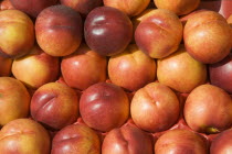 French Market. Detail of Nectarines on market stallGreat Britain United Kingdom UK