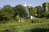 The Montmartre vineyard on the Rue des Saules. The last surviving vineyard in Paris with the Ovoid dome of the Church of Sacre Coeur beyondEuropean French Western Europe