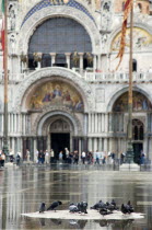 Aqua Alta High Water flooding in St Marks Square with pigeons on a dry piece of the piazza with St Marks Basilica beyond