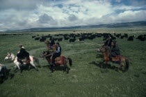Nomadic herders on horseback with yak and sheep herds on the high grasslands.